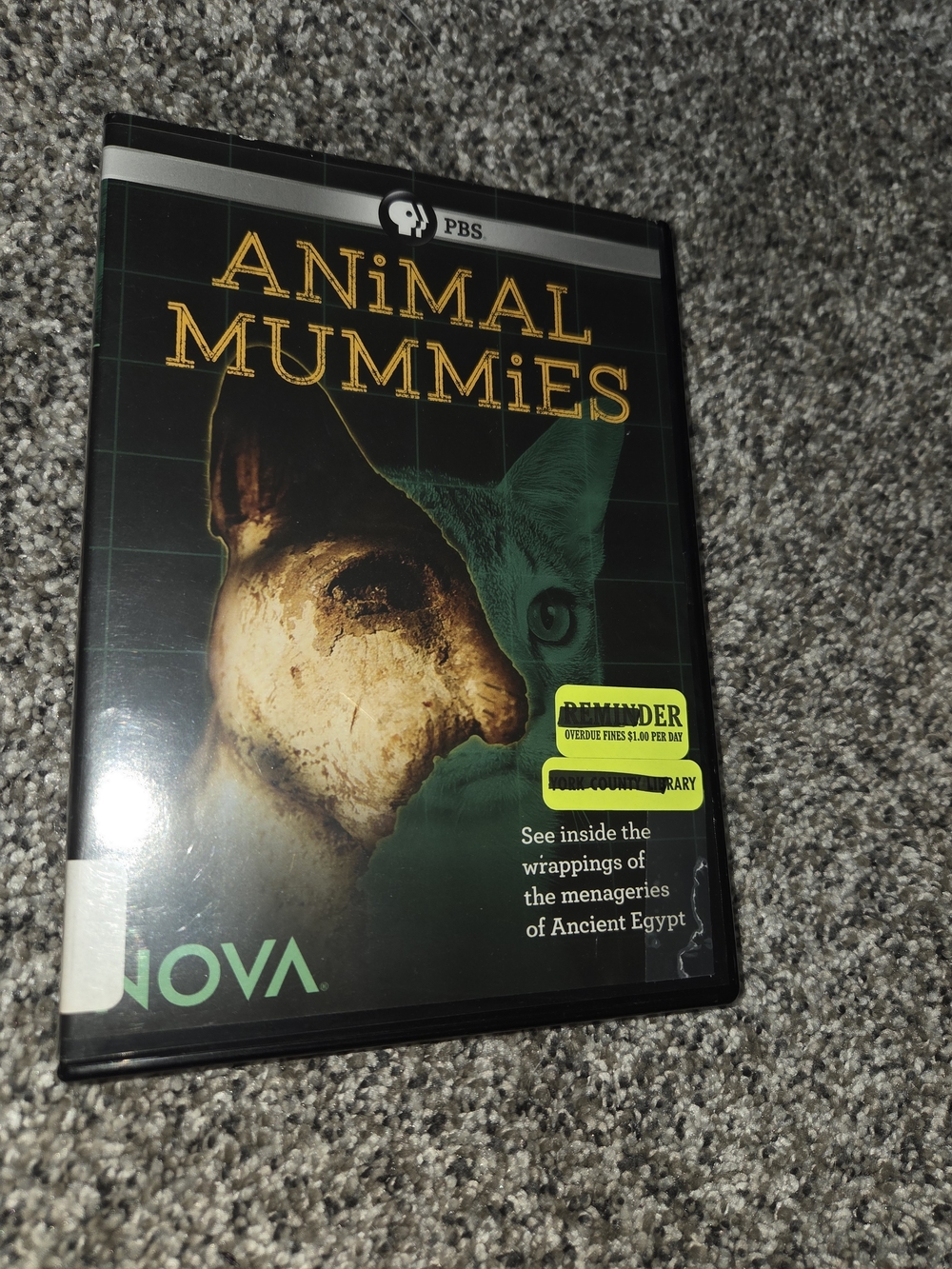 Animal Mummies DVD 2016 NOVA PBS Documentary Jon Eastman